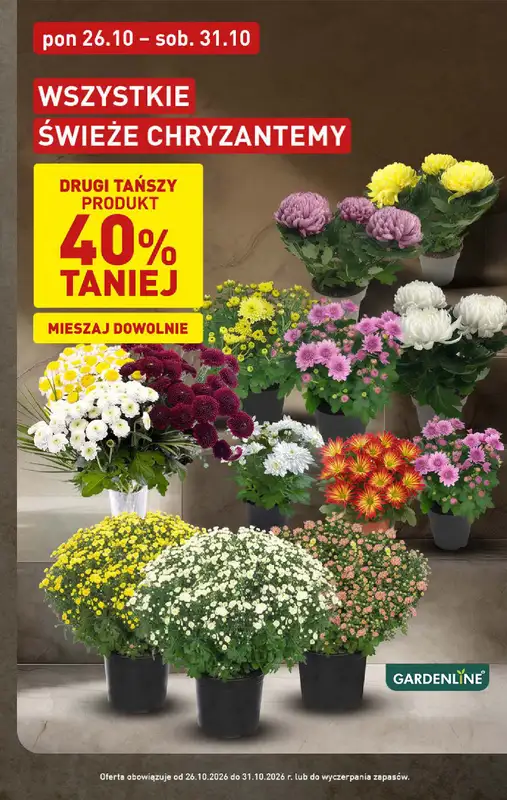 Aldi - gazetka promocyjna Pełny katalog!   - strona 3
