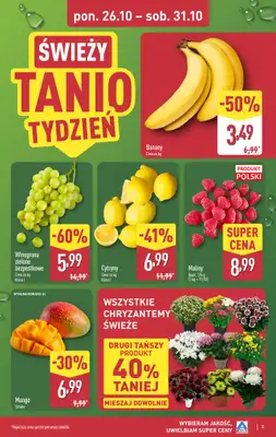 Aldi - gazetka promocyjna Pełny katalog! od poniedziałku 26.10 do soboty 31.10 - strona 5