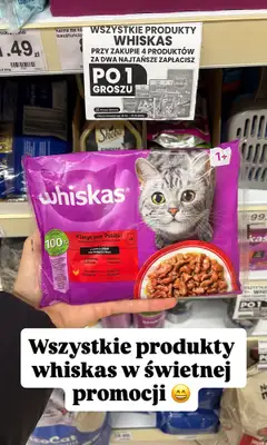 Dino - gazetka promocyjna Zakupowe inspiracje w Dino od soboty 24.10  - strona 11