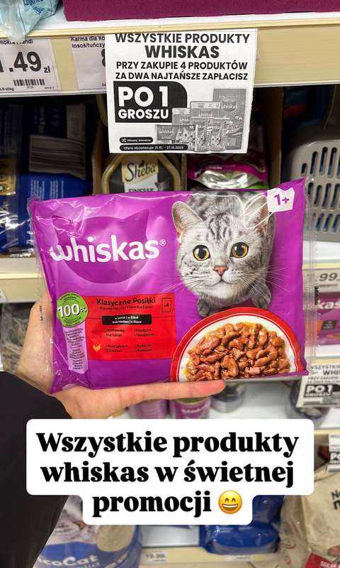 Dino - gazetka promocyjna Zakupowe inspiracje w Dino od soboty 24.10  - strona 11