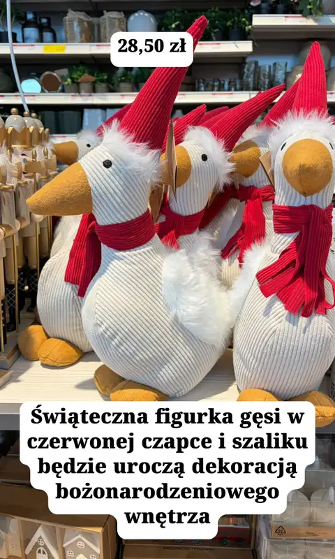 Jysk - gazetka promocyjna Zakupowe inspiracje w Jysk od piątku 23.10  - strona 19