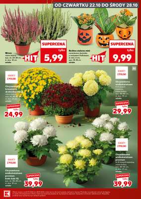 Kaufland - gazetka promocyjna Mocny Start od poniedziałku 26.10 do środy 28.10 - strona 5
