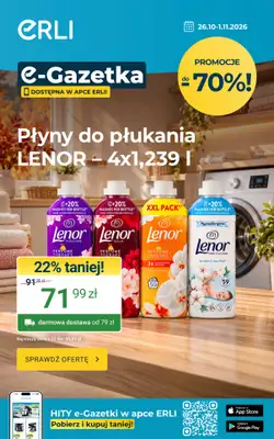 ERLI - gazetka promocyjna Gazetka od poniedziałku 26.10 do niedzieli 01.11