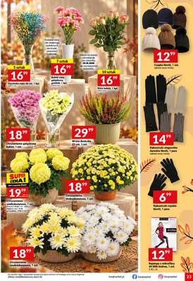 Twój Market - gazetka promocyjna Gazetka od środy 21.10 do wtorku 27.10 - strona 23