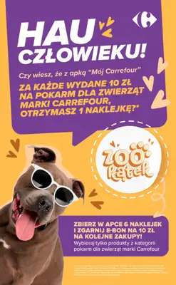Carrefour - gazetka promocyjna Gazetka W sumie Halloweenowo od poniedziałku 26.10 do soboty 31.10 - strona 9