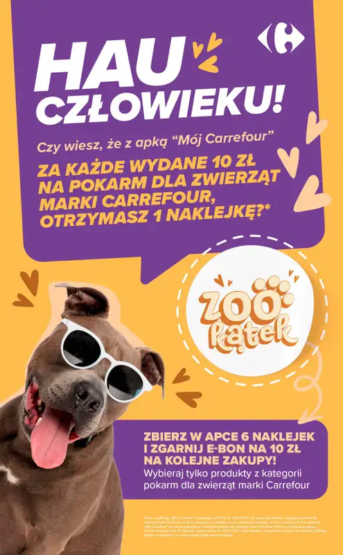 Carrefour - gazetka promocyjna Gazetka W sumie Halloweenowo od poniedziałku 26.10 do soboty 31.10 - strona 9