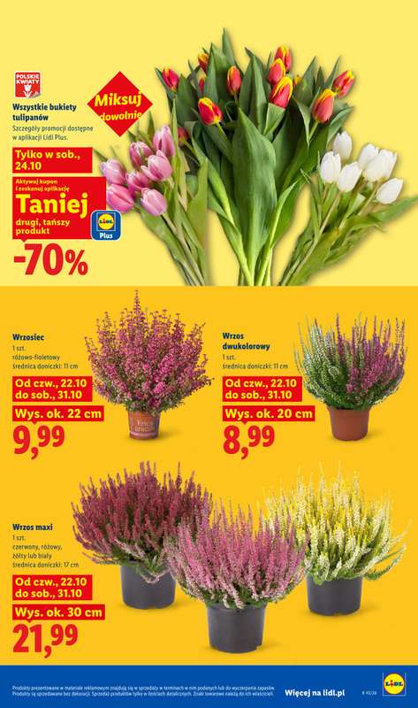 Lidl - gazetka promocyjna Oferta od czwartku od czwartku 22.10 do soboty 24.10 - strona 105