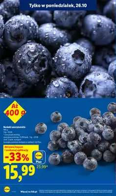 Lidl - gazetka promocyjna Oferta od poniedziałku od poniedziałku 26.10 do środy 28.10 - strona 10