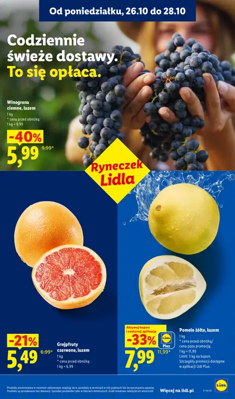 Lidl - gazetka promocyjna Oferta od poniedziałku od poniedziałku 26.10 do środy 28.10 - strona 41