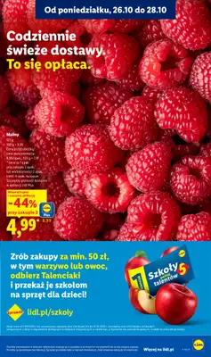 Lidl - gazetka promocyjna Oferta od poniedziałku od poniedziałku 26.10 do środy 28.10 - strona 43