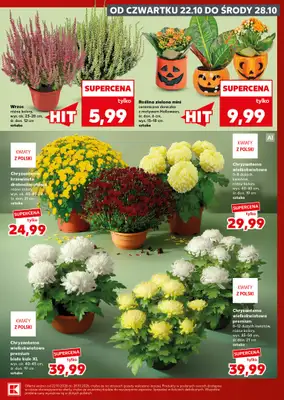 Kaufland - gazetka promocyjna Gazetka Tygodnia od czwartku 22.10 do środy 28.10 - strona 7