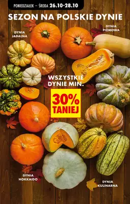 Biedronka - gazetka promocyjna Od poniedziałku od poniedziałku 26.10 do soboty 31.10 - strona 27