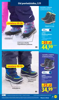 Lidl - gazetka promocyjna Katalog od poniedziałku 02.11 do niedzieli 08.11 - strona 19
