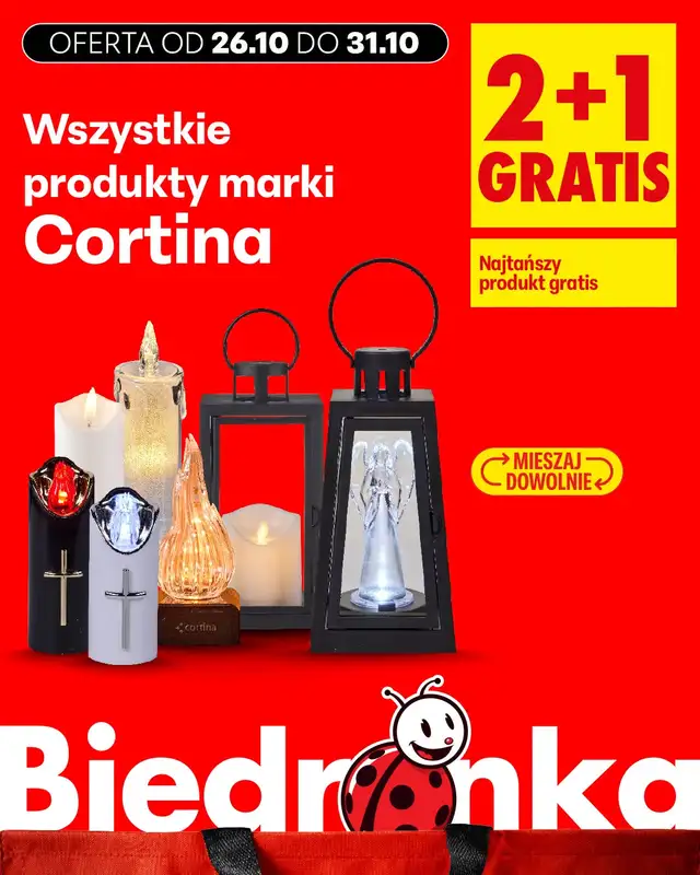 Biedronka - gazetka promocyjna Biedronkowe oszczędności od poniedziałku   - strona 2
