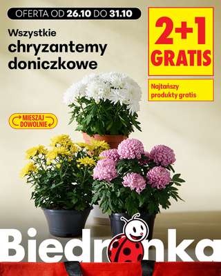 Biedronka - gazetka promocyjna Biedronkowe oszczędności od poniedziałku od poniedziałku 26.10 do środy 28.10