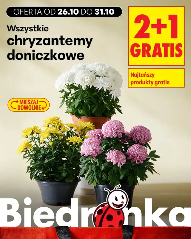 Biedronka - gazetka promocyjna Biedronkowe oszczędności od poniedziałku  