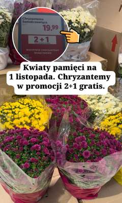 Lidl - gazetka promocyjna Zakupowe inspiracje w Lidl od poniedziałku 26.10  - strona 4