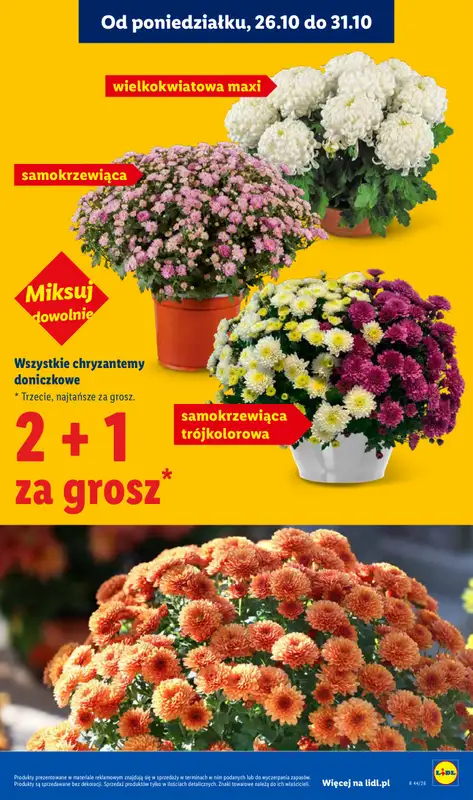 Lidl - gazetka promocyjna Oferta od poniedziałku od poniedziałku 26.10 do środy 28.10 - strona 47