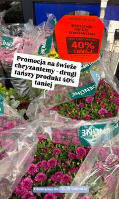 Aldi - gazetka promocyjna Zakupowe inspiracje w Aldi od wtorku 27.10 do soboty 31.10 - strona 7