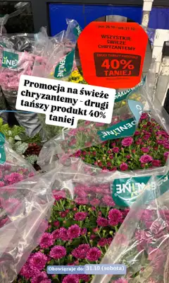 Aldi - gazetka promocyjna Zakupowe inspiracje w Aldi od wtorku 27.10 do soboty 31.10 - strona 7
