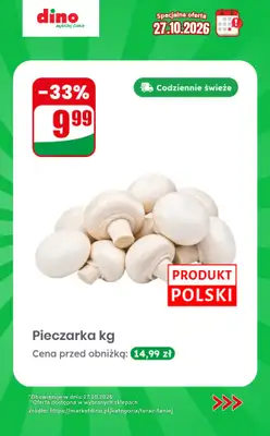 Dino - gazetka promocyjna Specjalna oferta na 27.10.2026 - promocje spoza gazetki od wtorku 27.10 do wtorku 27.10 - strona 2