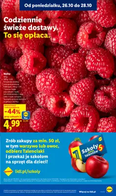 Lidl - gazetka promocyjna Oferta od poniedziałku od poniedziałku 26.10 do środy 28.10 - strona 45