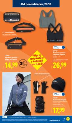 Lidl - gazetka promocyjna Katalog od poniedziałku 26.10 do soboty 31.10 - strona 13