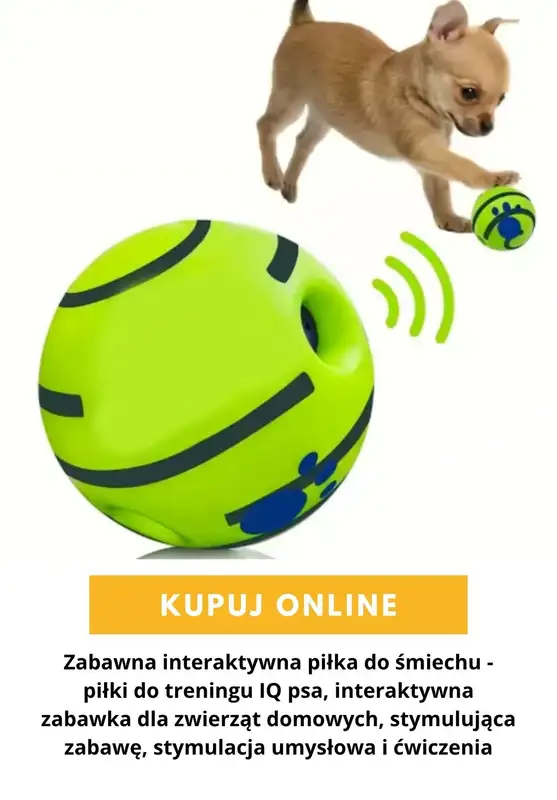 AliExpress - gazetka promocyjna Produkty dla zwierząt od wtorku 27.10  - strona 6