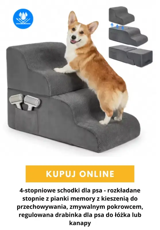 AliExpress - gazetka promocyjna Produkty dla zwierząt od wtorku 27.10  - strona 2