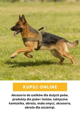 AliExpress - gazetka promocyjna Produkty dla zwierząt od wtorku 27.10  - strona 7
