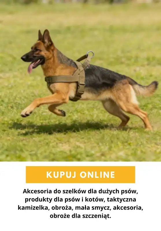 AliExpress - gazetka promocyjna Produkty dla zwierząt od wtorku 27.10  - strona 7