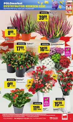 POLOmarket - gazetka promocyjna Gazetka od środy 28.10 do wtorku 03.11 - strona 5