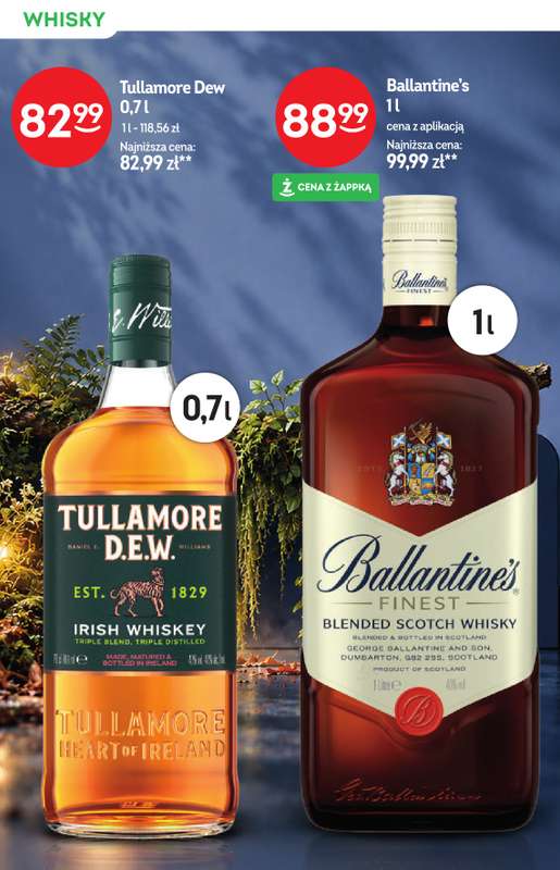 Żabka - gazetka promocyjna Katalog alkoholowy od środy 28.10 do wtorku 10.11 - strona 14