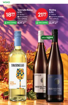 Żabka - gazetka promocyjna Katalog win od środy 28.10 do wtorku 10.11 - strona 14