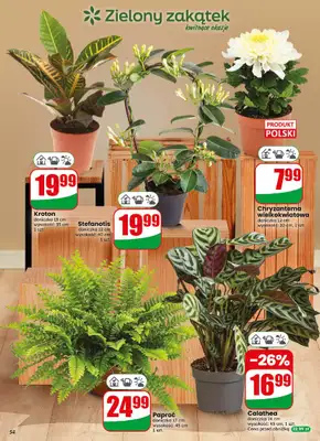 Dino - gazetka promocyjna Gazetka 44 / 2026 od środy 28.10 do wtorku 03.11 - strona 54