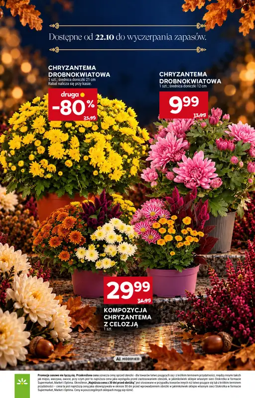 Stokrotka - gazetka promocyjna Katalog Znicze od czwartku 01.10 do środy 04.11 - strona 16