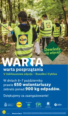 Lidl - gazetka promocyjna Oferta od czwartku od czwartku 29.10 do soboty 31.10 - strona 118