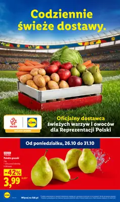 Lidl - gazetka promocyjna Oferta od czwartku od czwartku 29.10 do soboty 31.10 - strona 46