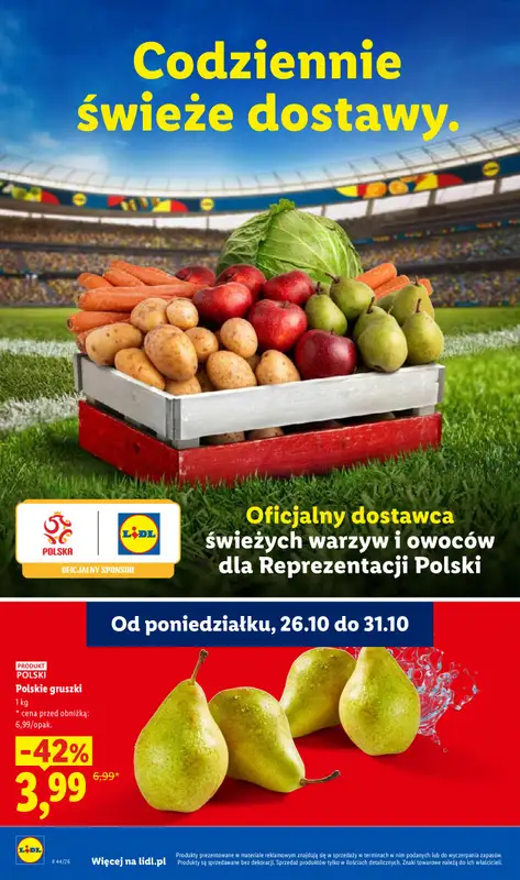 Lidl - gazetka promocyjna Oferta od czwartku od czwartku 29.10 do soboty 31.10 - strona 46