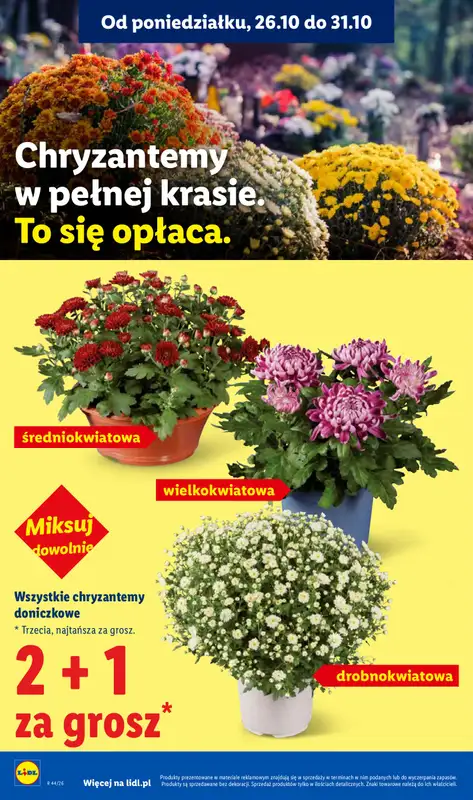 Lidl - gazetka promocyjna Oferta od czwartku od czwartku 29.10 do soboty 31.10 - strona 4