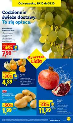 Lidl - gazetka promocyjna Oferta od czwartku od czwartku 29.10 do soboty 31.10 - strona 49