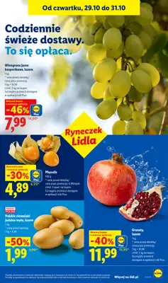 Lidl - gazetka promocyjna Oferta od czwartku od czwartku 29.10 do soboty 31.10 - strona 49