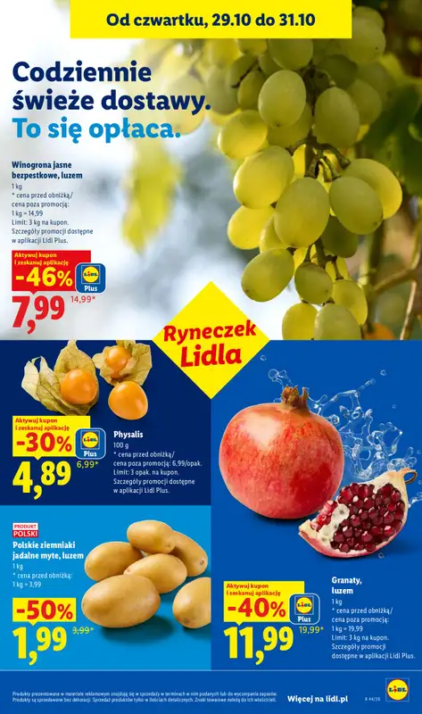 Lidl - gazetka promocyjna Oferta od czwartku od czwartku 29.10 do soboty 31.10 - strona 49