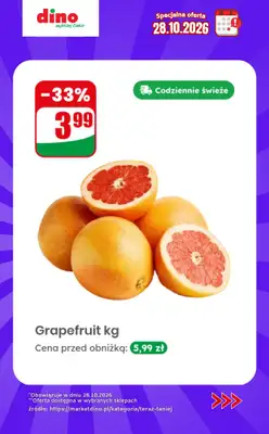 Dino - gazetka promocyjna Specjalna oferta na 28.10.2026 - promocje spoza gazetki od środy 28.10 do środy 28.10 - strona 6