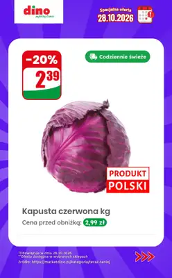 Dino - gazetka promocyjna Specjalna oferta na 28.10.2026 - promocje spoza gazetki od środy 28.10 do środy 28.10 - strona 7
