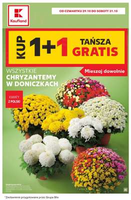 Kaufland - gazetka promocyjna Najlepsze promocje! od czwartku 29.10 do soboty 31.10 - strona 2