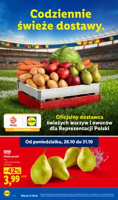 Lidl - gazetka promocyjna Oferta od czwartku od czwartku 29.10 do soboty 31.10 - strona 46