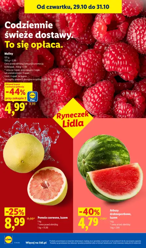 Lidl - gazetka promocyjna Oferta od czwartku od czwartku 29.10 do soboty 31.10 - strona 48