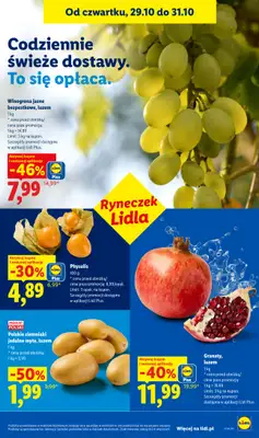 Lidl - gazetka promocyjna Oferta od czwartku od czwartku 29.10 do soboty 31.10 - strona 49