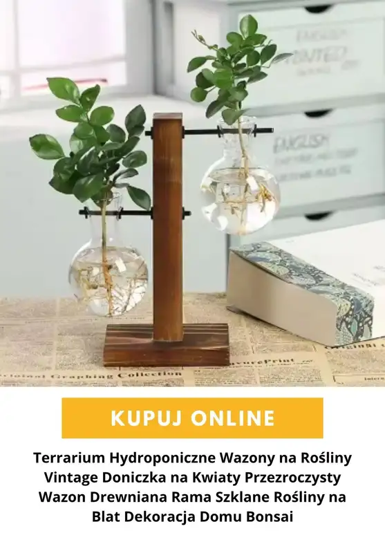 AliExpress - gazetka promocyjna WAZONY od środy 28.10  - strona 4